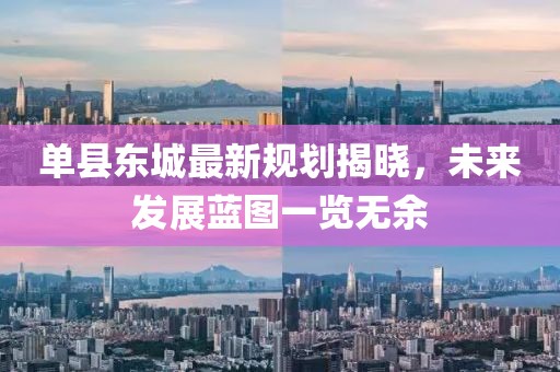 单县东城最新规划揭晓，未来发展蓝图一览无余