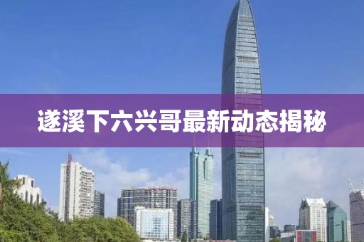 遂溪下六兴哥最新动态揭秘