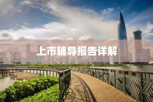 上市辅导报告详解