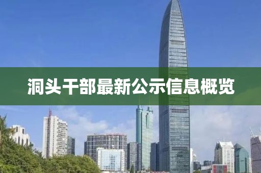 洞头干部最新公示信息概览