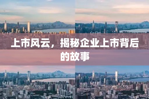 上市风云，揭秘企业上市背后的故事
