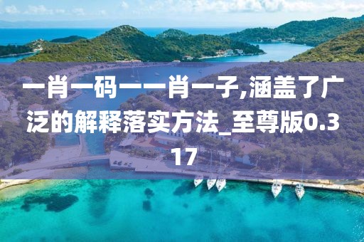 一肖一码一一肖一子,涵盖了广泛的解释落实方法_至尊版0.317