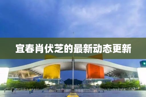 宜春肖伏芝的最新动态更新