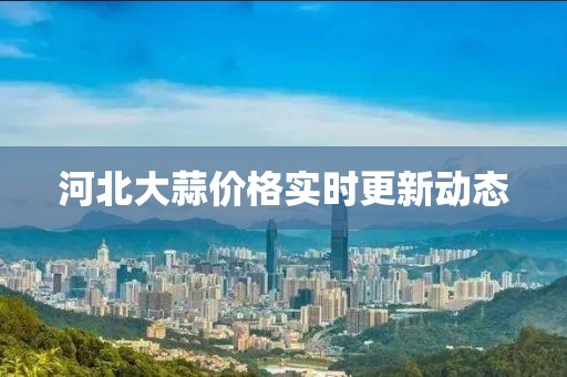 2025年2月 第313页