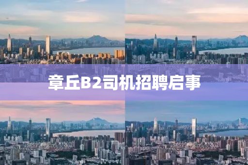 张安妮 第3页