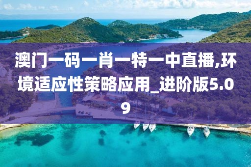 澳门一码一肖一特一中直播,环境适应性策略应用_进阶版5.09