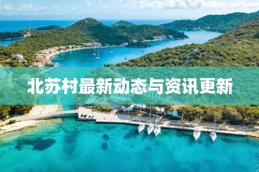 北苏村最新动态与资讯更新