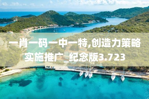 一肖一码一中一特,创造力策略实施推广_纪念版3.723
