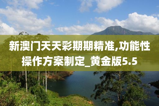 新澳门天天彩期期精准,功能性操作方案制定_黄金版5.5