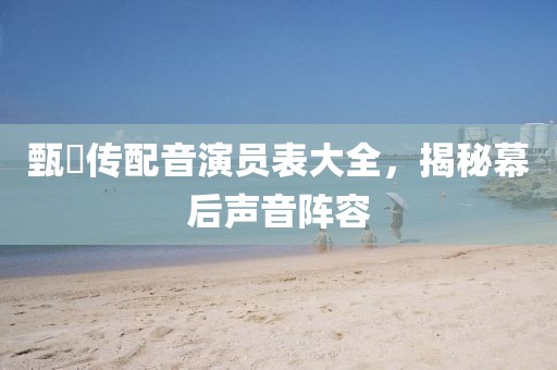 甄嬛传配音演员表大全，揭秘幕后声音阵容
