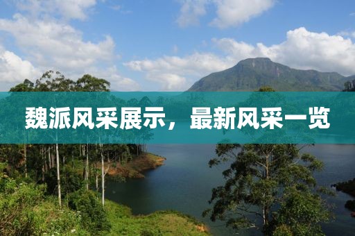 魏派风采展示，最新风采一览