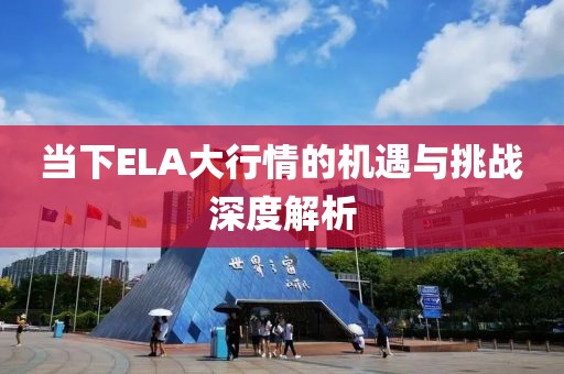 当下ELA大行情的机遇与挑战深度解析
