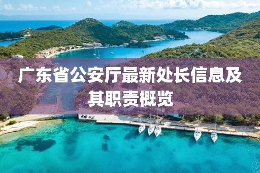 广东省公安厅最新处长信息及其职责概览