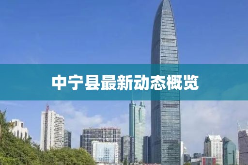 中宁县最新动态概览