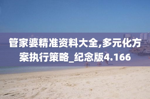 管家婆精准资料大全,多元化方案执行策略_纪念版4.166