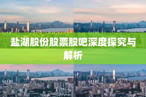 盐湖股份股票股吧深度探究与解析