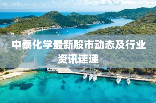 中泰化学最新股市动态及行业资讯速递
