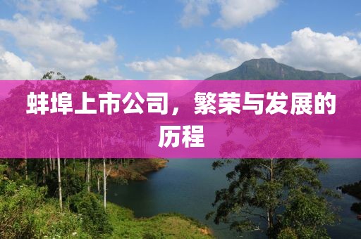 蚌埠上市公司，繁荣与发展的历程