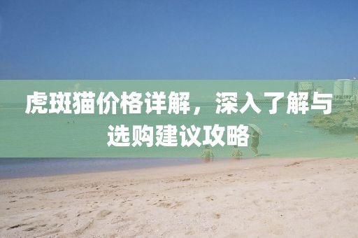 虎斑猫价格详解，深入了解与选购建议攻略
