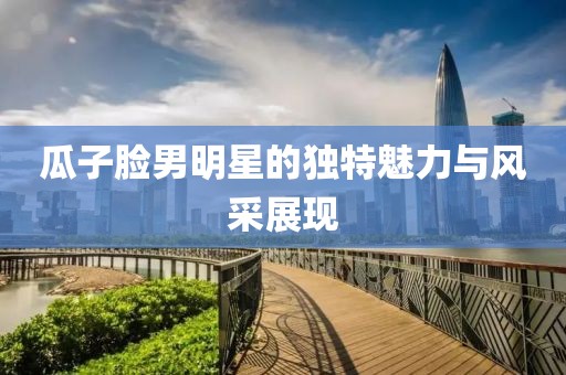 瓜子脸男明星的独特魅力与风采展现