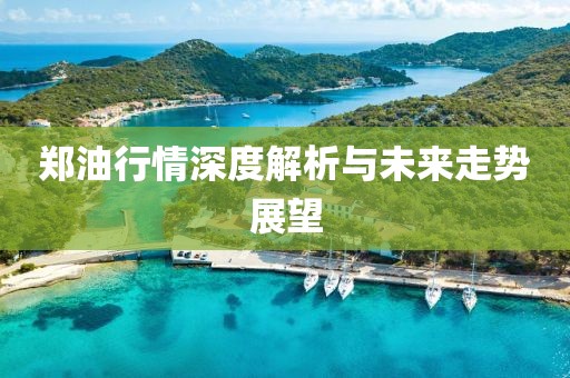 郑油行情深度解析与未来走势展望
