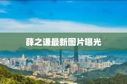 员采枫 第4页