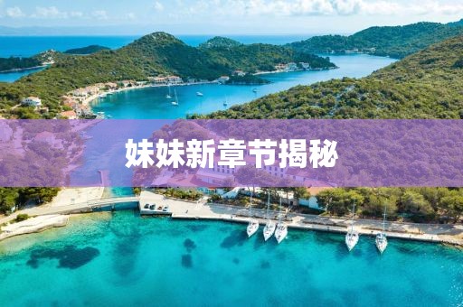 妹妹新章节揭秘