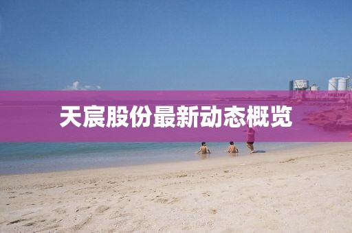 天宸股份最新动态概览