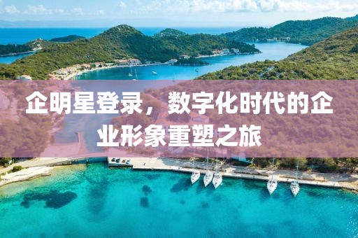 企明星登录，数字化时代的企业形象重塑之旅
