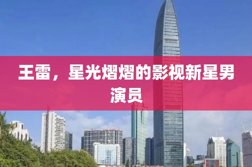 王雷，星光熠熠的影视新星男演员