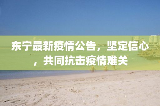 东宁最新疫情公告，坚定信心，共同抗击疫情难关