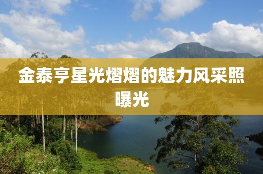 金泰亨星光熠熠的魅力风采照曝光