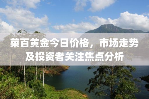 菜百黄金今日价格，市场走势及投资者关注焦点分析