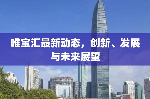 唯宝汇最新动态，创新、发展与未来展望