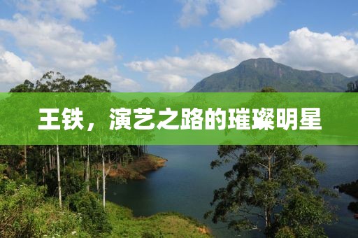 种安春 第4页