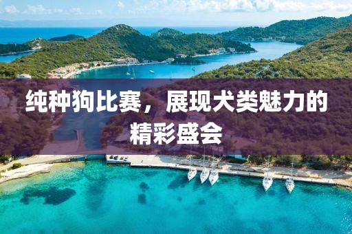 载曼婉 第3页