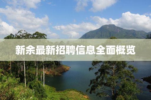 新余最新招聘信息全面概览