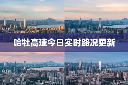 赵凝珍 第4页