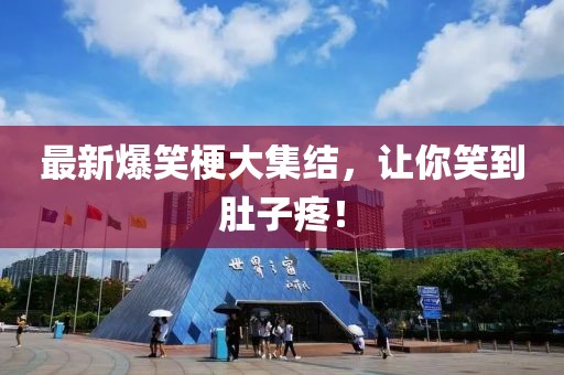 最新爆笑梗大集结，让你笑到肚子疼！