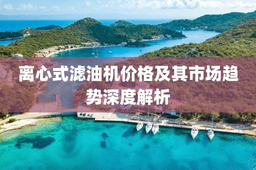 离心式滤油机价格及其市场趋势深度解析