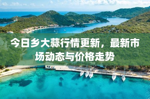 今日乡大蒜行情更新，最新市场动态与价格走势