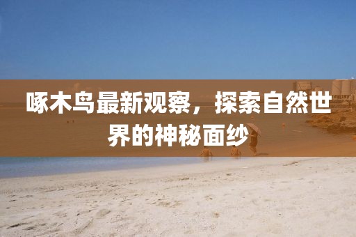 啄木鸟最新观察，探索自然世界的神秘面纱