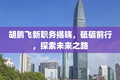 胡鹏飞新职务揭晓，砥砺前行，探索未来之路