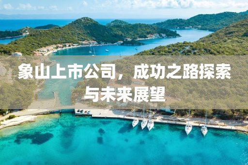 象山上市公司，成功之路探索与未来展望