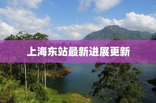 上海东站最新进展更新