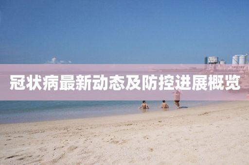 冠状病最新动态及防控进展概览