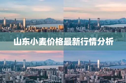 山东小麦价格最新行情分析