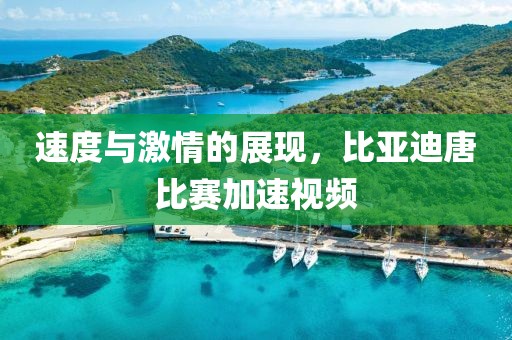 速度与激情的展现，比亚迪唐比赛加速视频