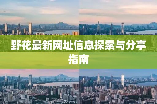 野花最新网址信息探索与分享指南