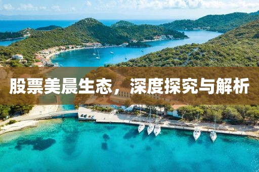 股票美晨生态，深度探究与解析